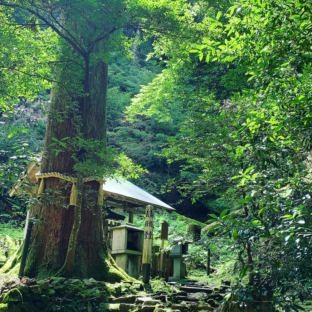 貴船口周回ラントリップ（貴船神社〜鞍馬寺トレラン）の写真7