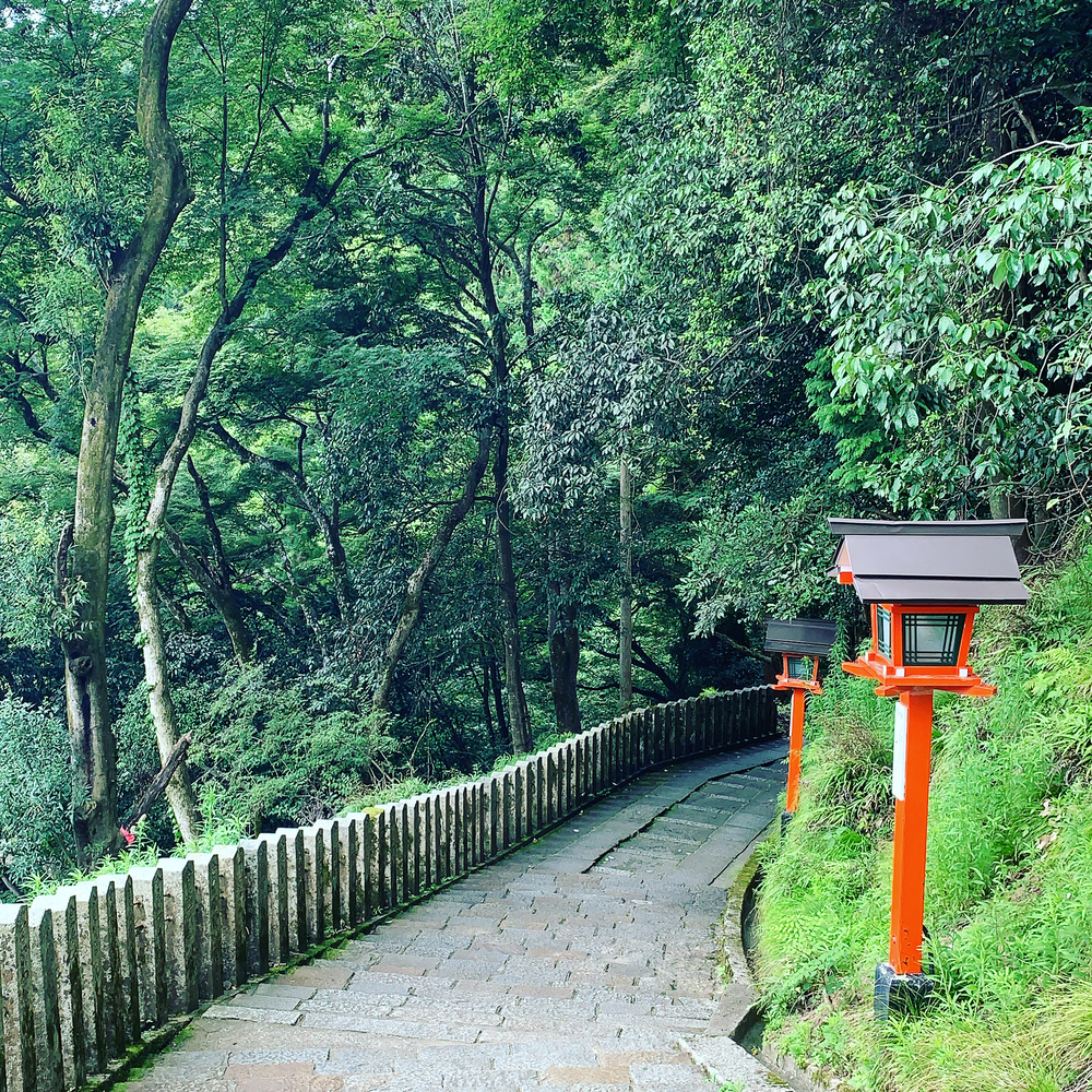 貴船口周回ラントリップ（貴船神社〜鞍馬寺トレラン）の写真10