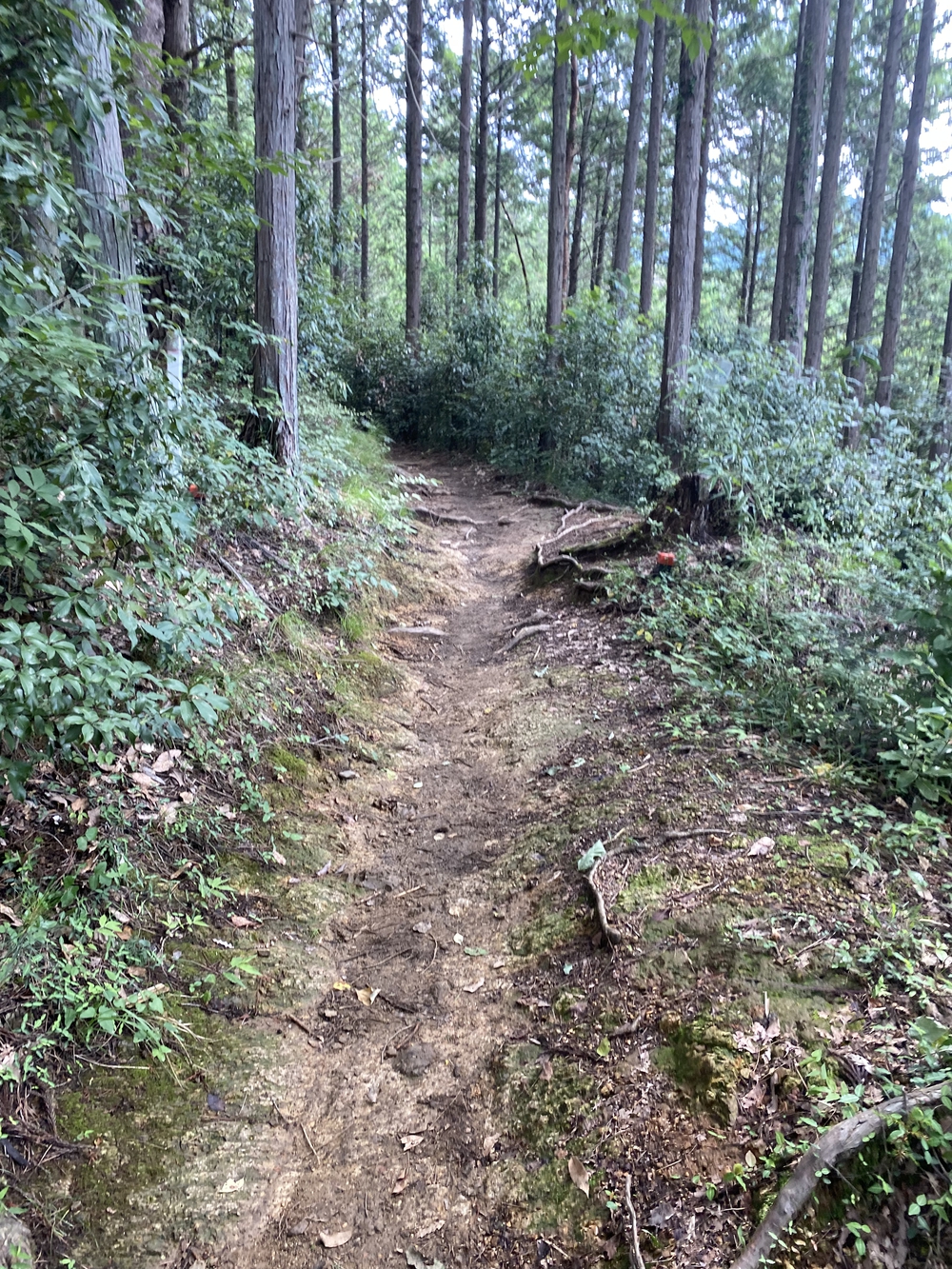 空いてて走りやすい陣馬山→高尾さん逆走コースの写真5