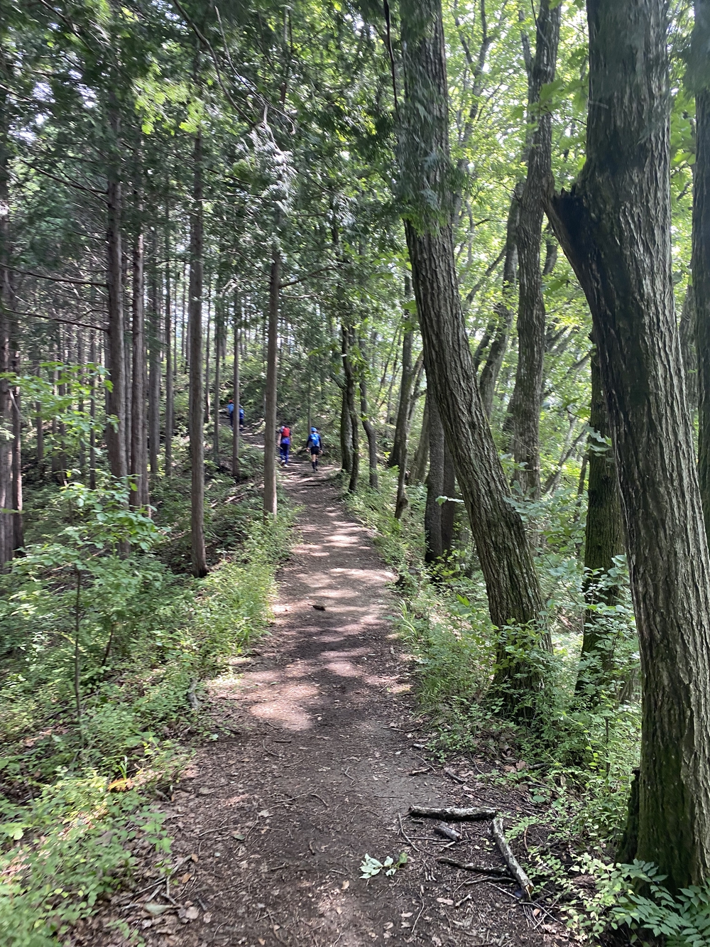 空いてて走りやすい陣馬山→高尾さん逆走コースの写真7