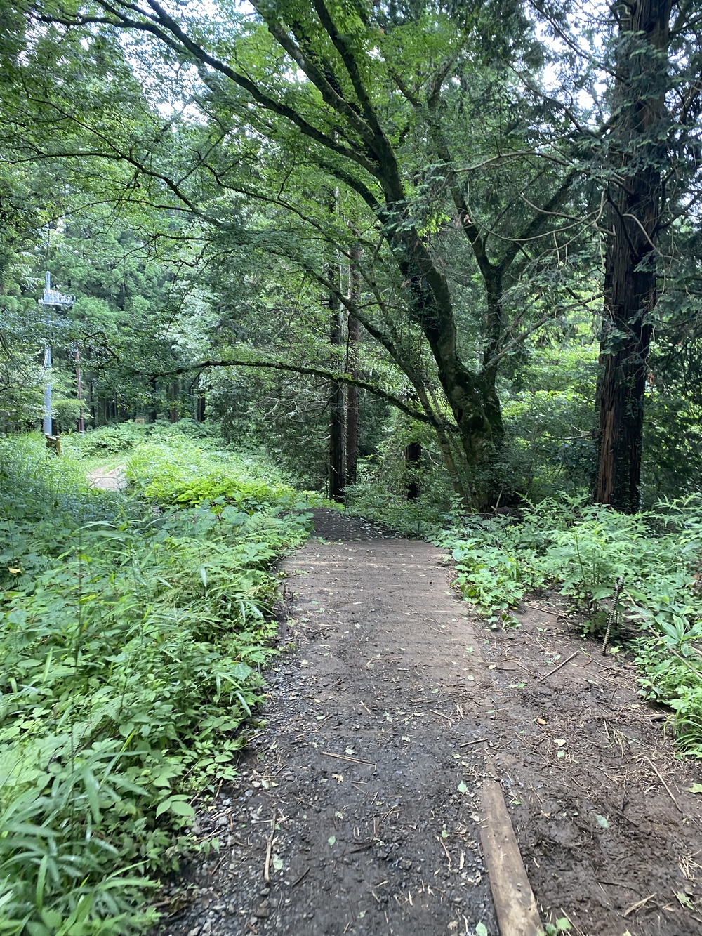 空いてて走りやすい陣馬山→高尾さん逆走コースの写真19