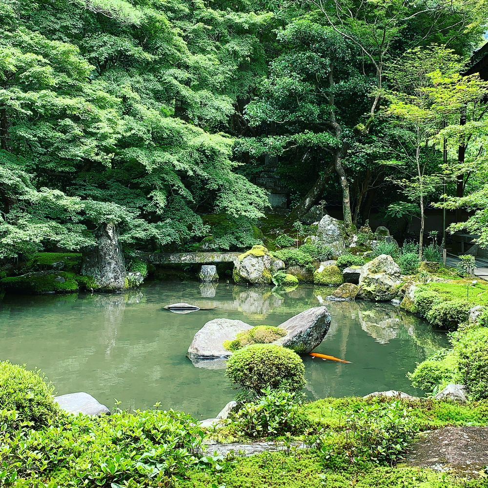 貴船口→蓮華寺→瑠璃光院：和庭園ラントリップの写真4