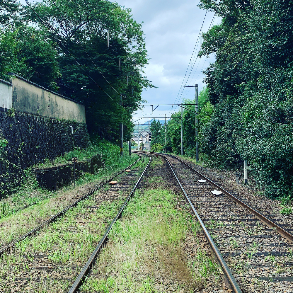 貴船口→蓮華寺→瑠璃光院：和庭園ラントリップの写真5