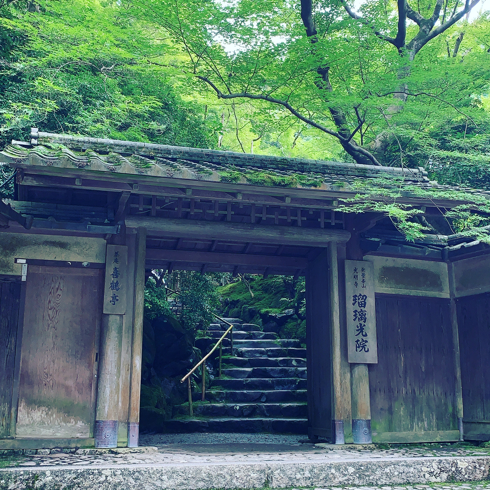 貴船口→蓮華寺→瑠璃光院：和庭園ラントリップの写真6