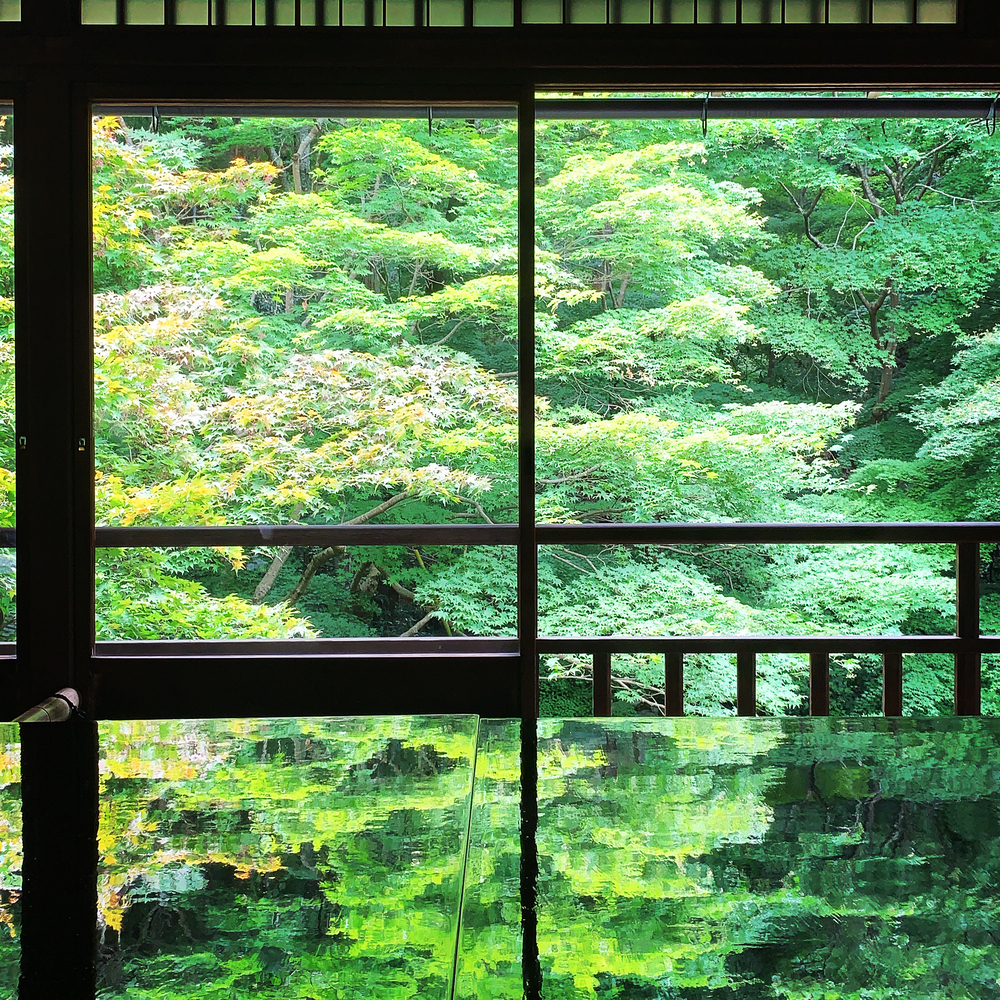 貴船口→蓮華寺→瑠璃光院：和庭園ラントリップの写真7