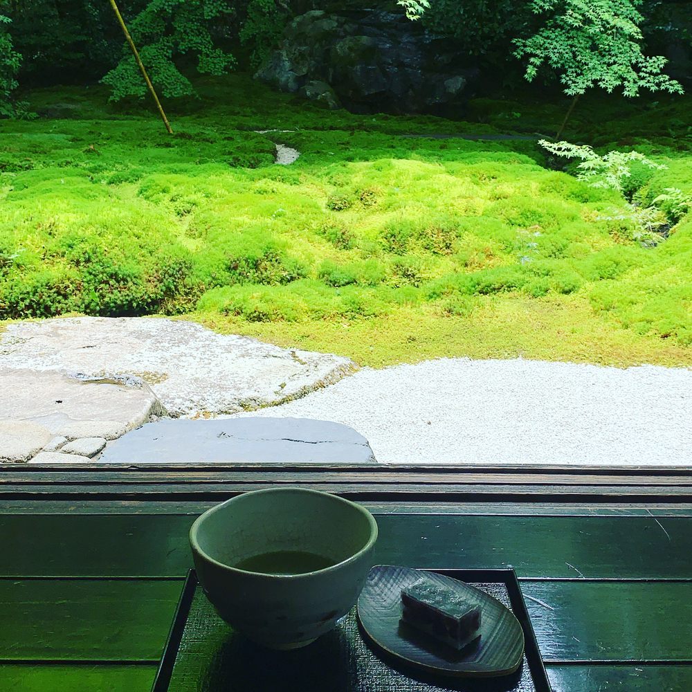 貴船口→蓮華寺→瑠璃光院：和庭園ラントリップの写真8