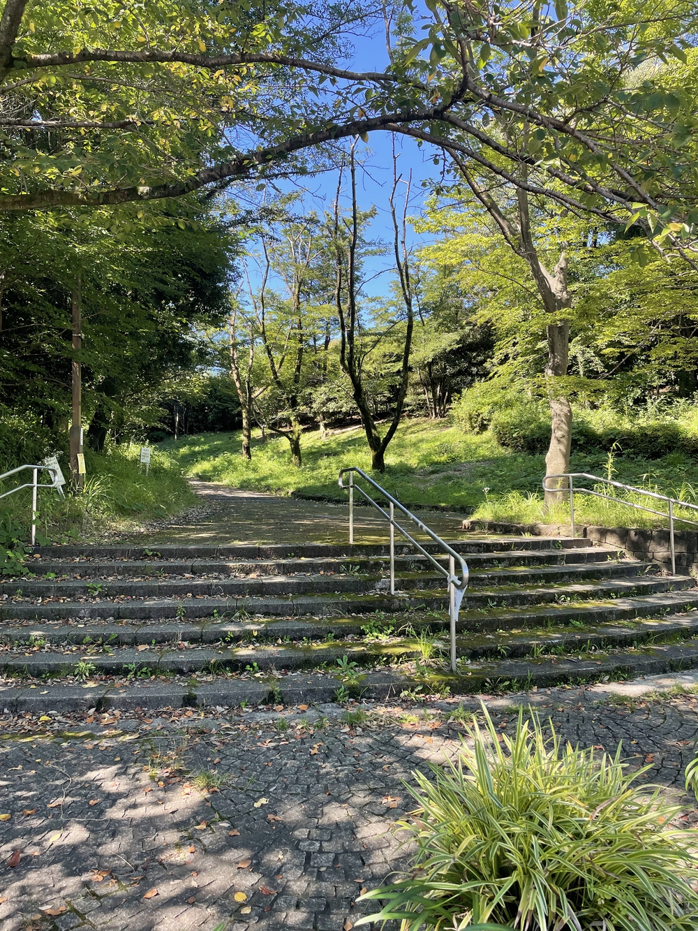オリンピックのロードレースのコースを走る②！！東京8市smile road project後半2コース の写真6