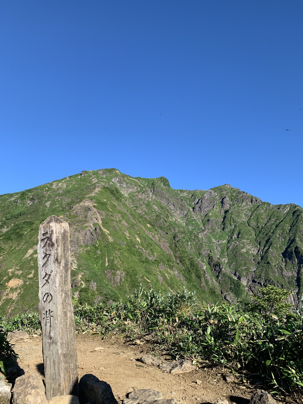 谷川馬蹄形ゆっくりトレランの写真5