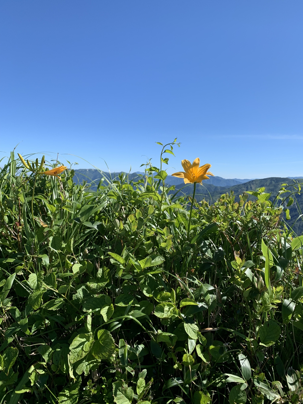 谷川馬蹄形ゆっくりトレランの写真10