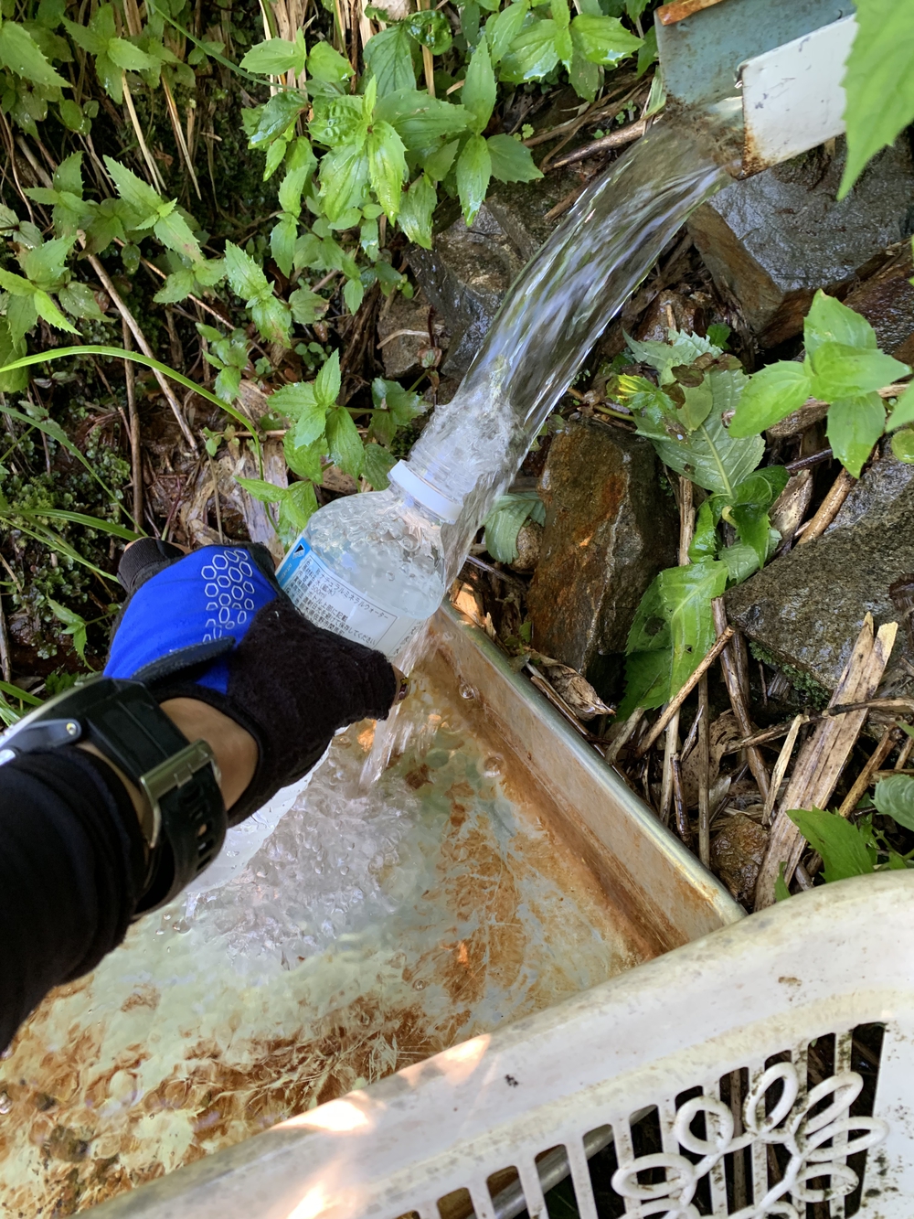 谷川馬蹄形ゆっくりトレランの写真12