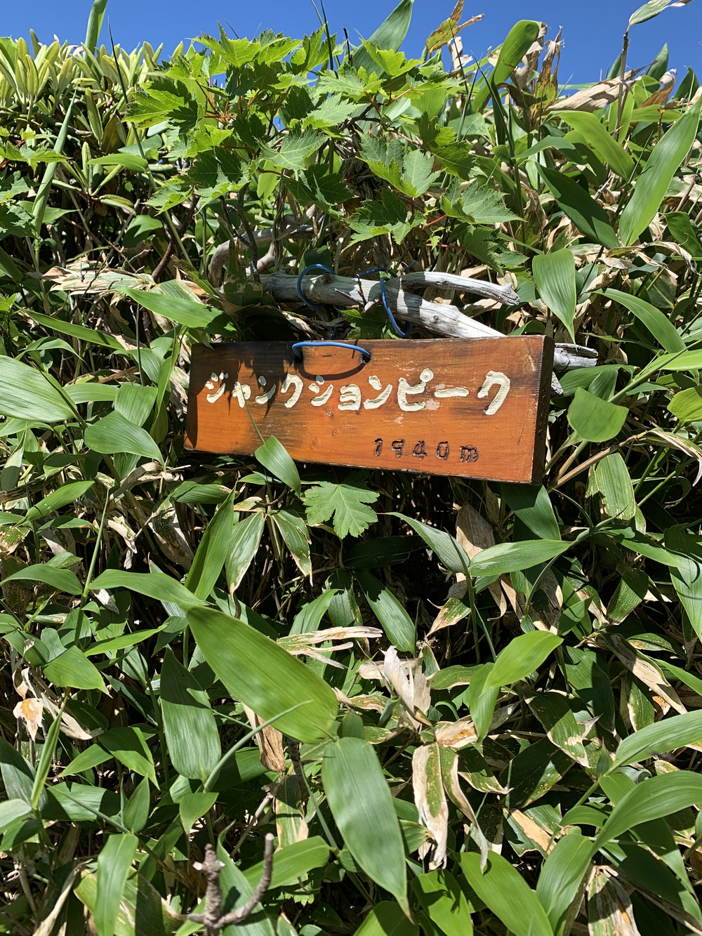 谷川馬蹄形ゆっくりトレランの写真13