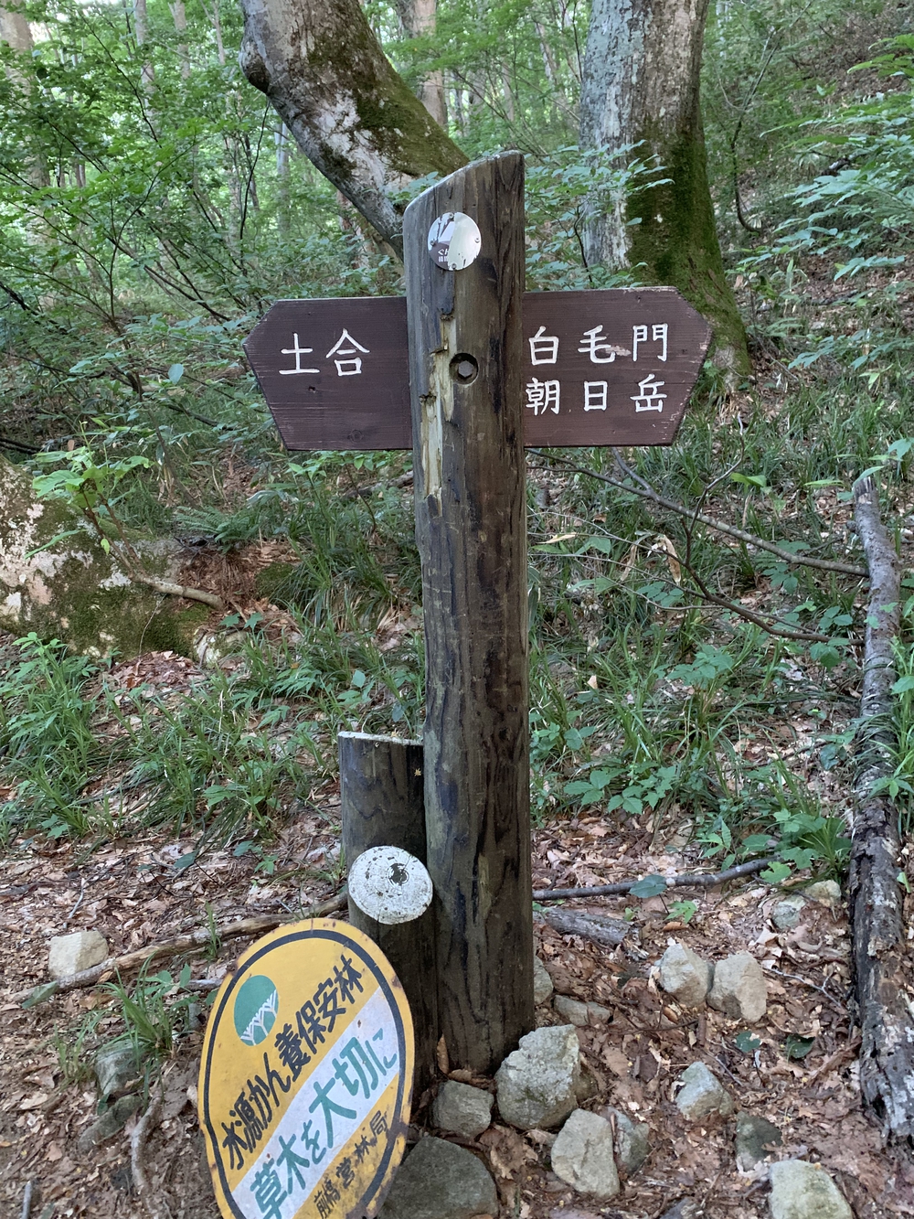 谷川馬蹄形ゆっくりトレランの写真18