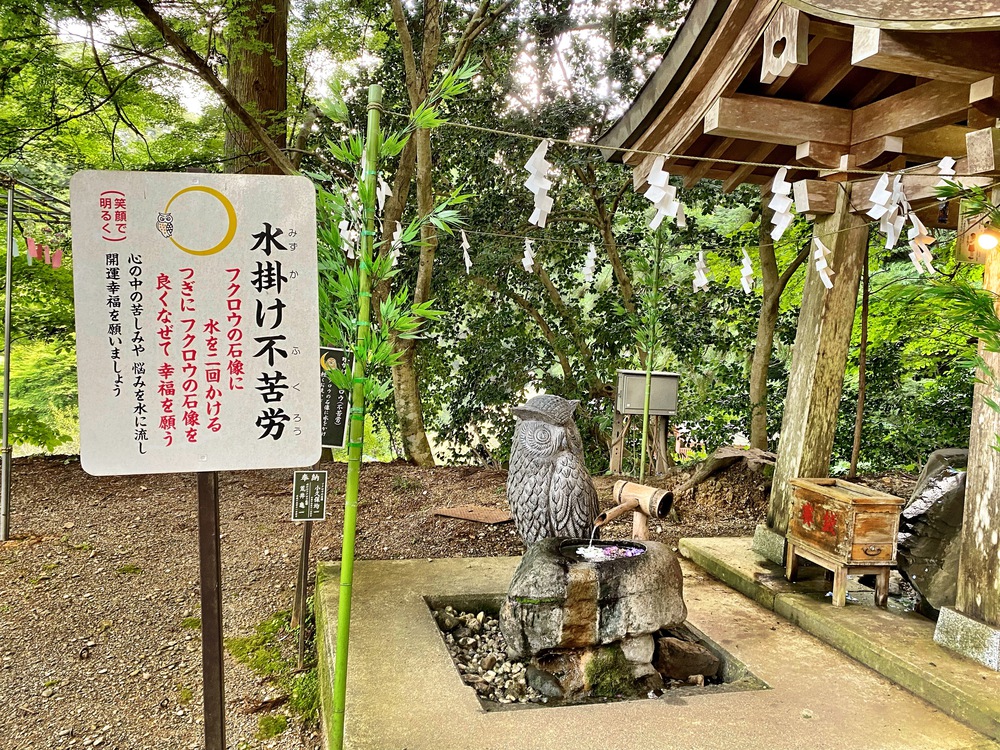 運気上昇！坂練で不苦労（フクロウ）詣の写真4