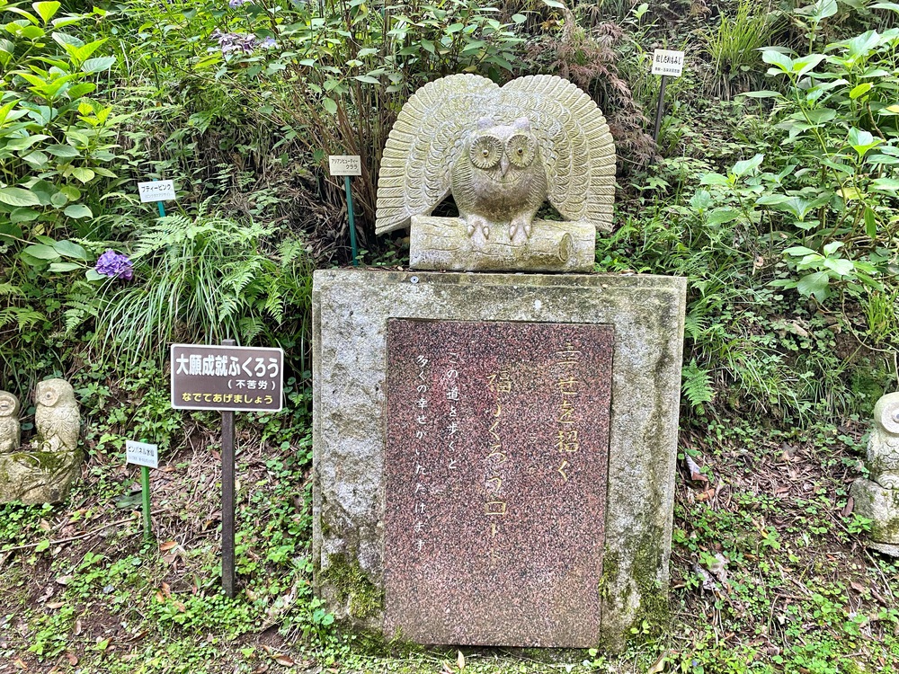 運気上昇！坂練で不苦労（フクロウ）詣の写真5