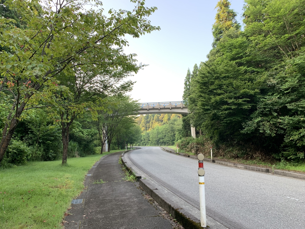 木陰をメインに走れる坂練コースの写真3