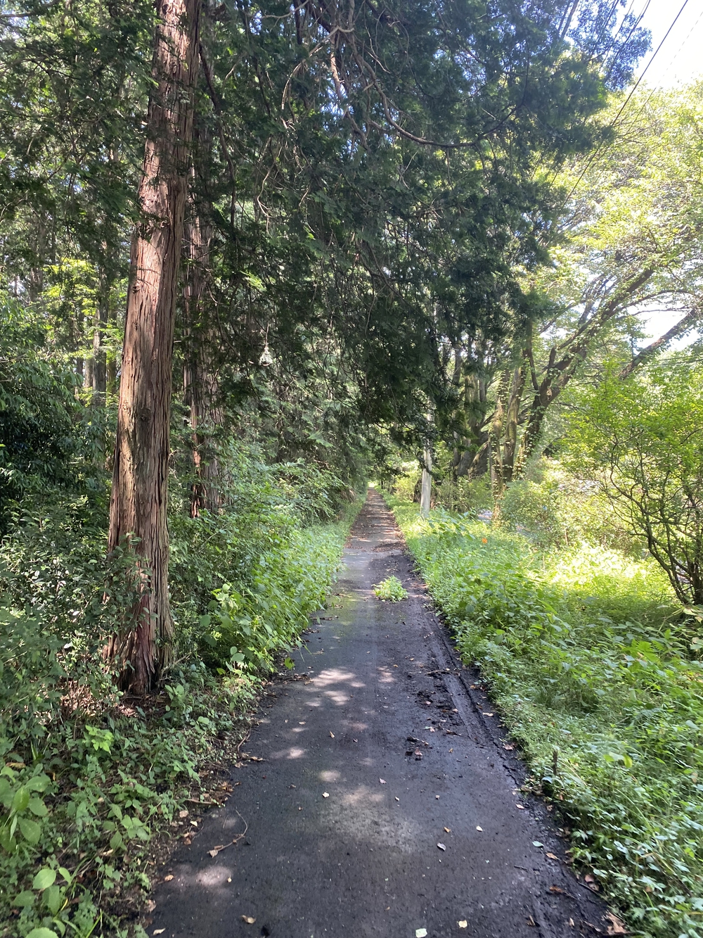 日光道中（街道）ラン第六日目（宇都宮〜今市）の写真4