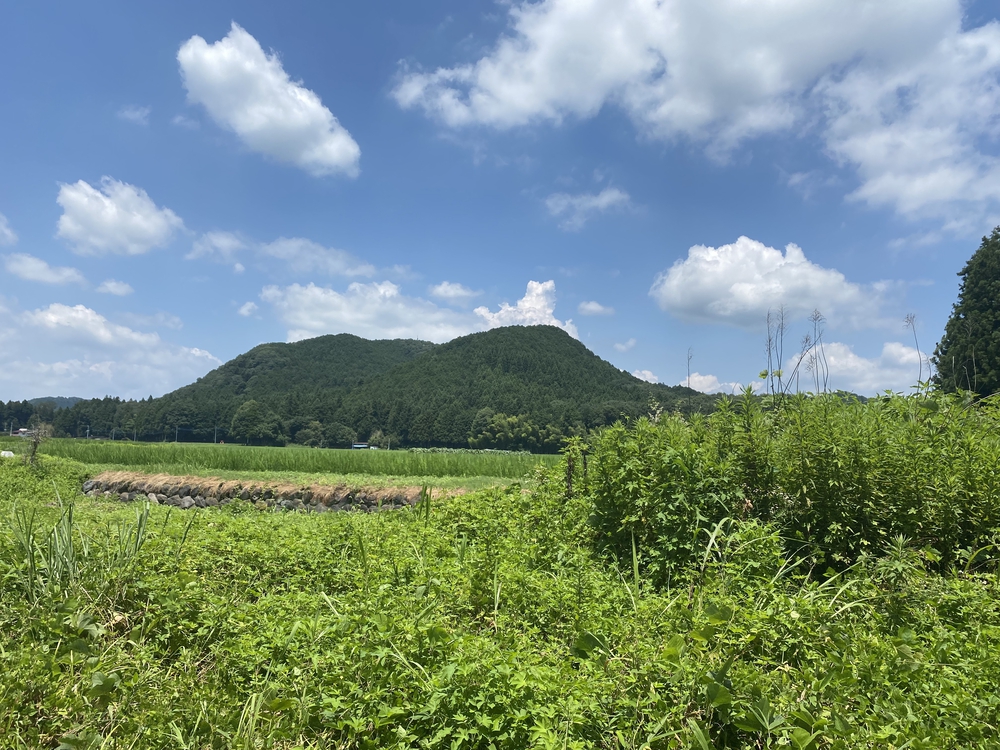 日光道中（街道）ラン第六日目（宇都宮〜今市）の写真5