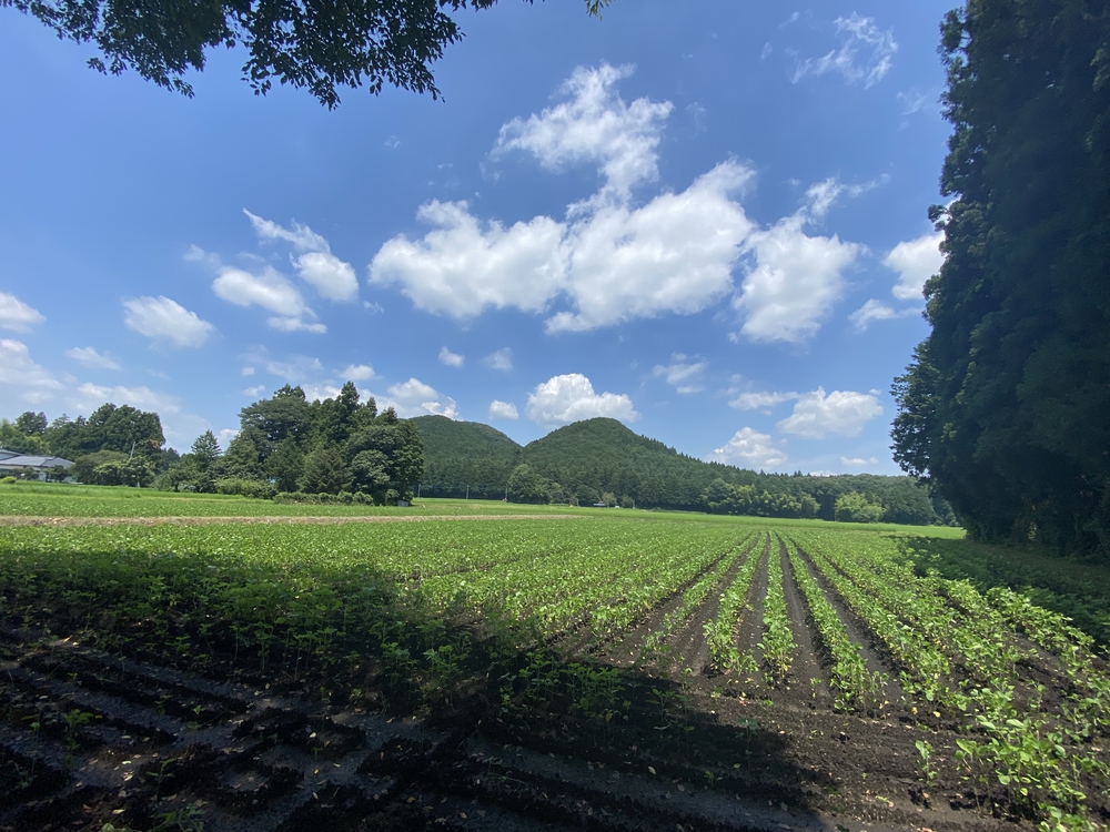 日光道中（街道）ラン第六日目（宇都宮〜今市）の写真6