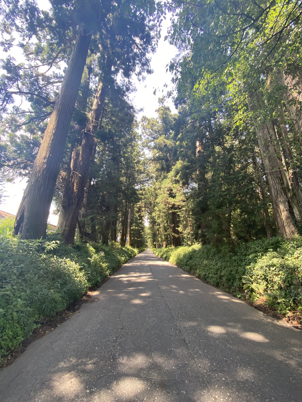 日光道中（街道）ラン第六日目（宇都宮〜今市）の写真8