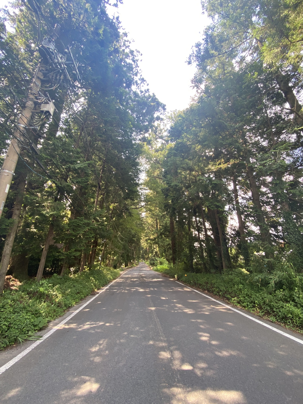 日光道中（街道）ラン第六日目（宇都宮〜今市）の写真11