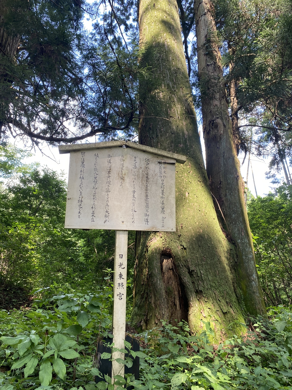 日光道中（街道）ラン第六日目（宇都宮〜今市）の写真12