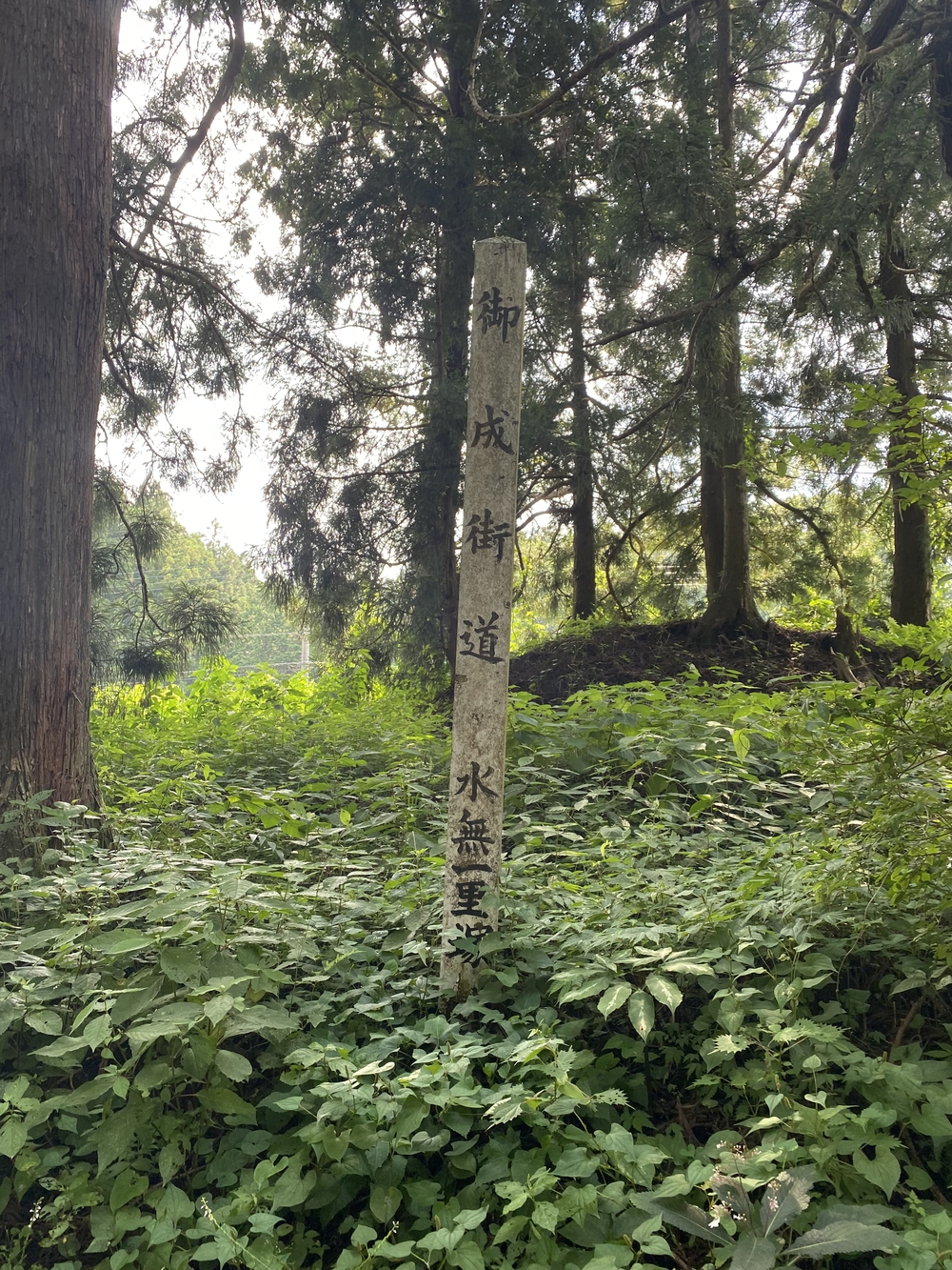 日光道中（街道）ラン第六日目（宇都宮〜今市）の写真13