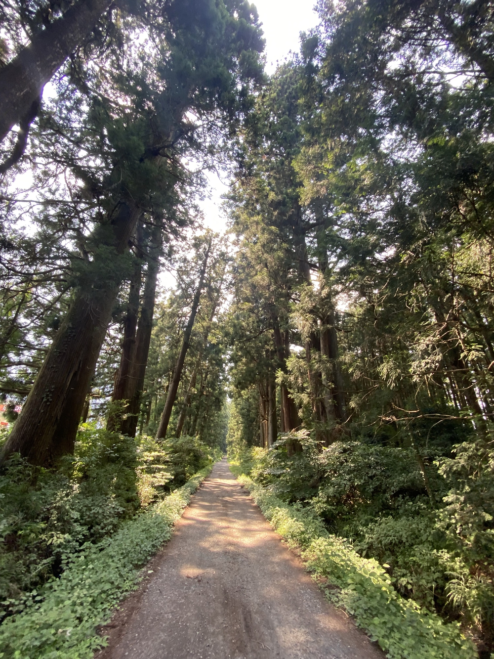 日光道中（街道）ラン第六日目（宇都宮〜今市）の写真14