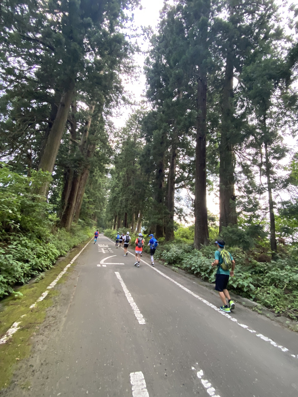 日光道中（街道）ラン第六日目（宇都宮〜今市）の写真15