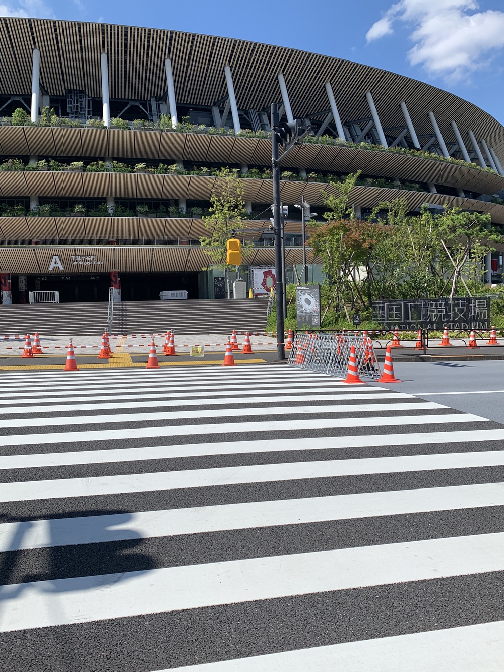暑熱順化☀️皇居からオリンピック会場の写真8