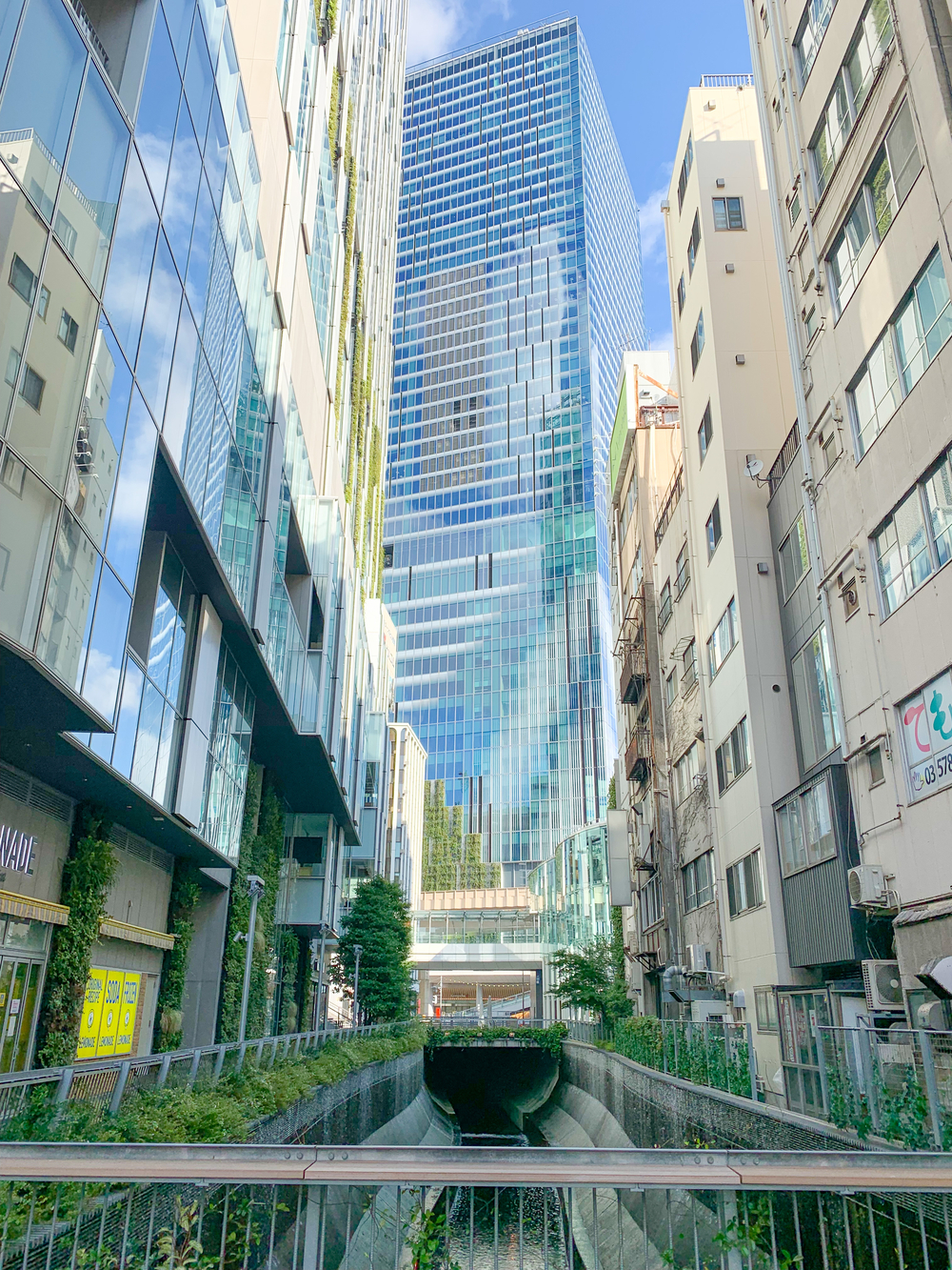 【東京・渋谷】スクランブル交差点〜新国立競技場を巡る渋谷Enjoy10kmの写真3