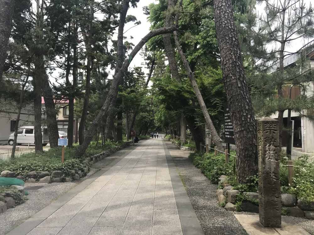 九品仏〜ねこじゃらし公園 周回コースの写真3