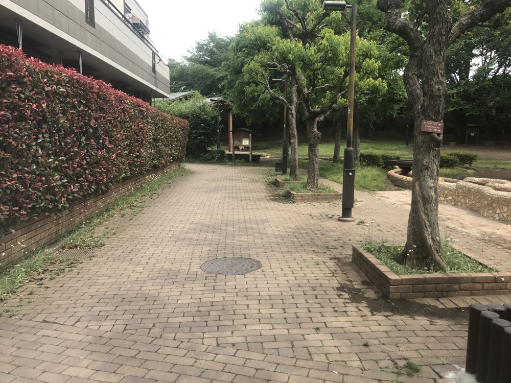 九品仏〜ねこじゃらし公園 周回コースの写真6