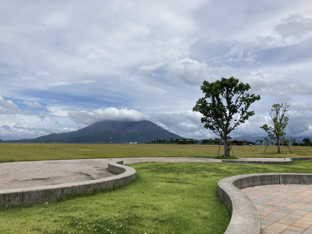 1周1km 緑豊かな公園をのんびり走れるコースの写真3