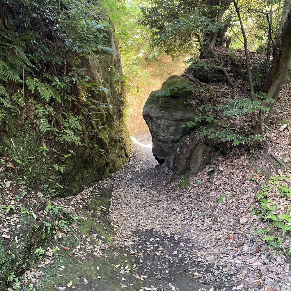 鎌倉七口（切通と坂）を巡る周回コースの写真3