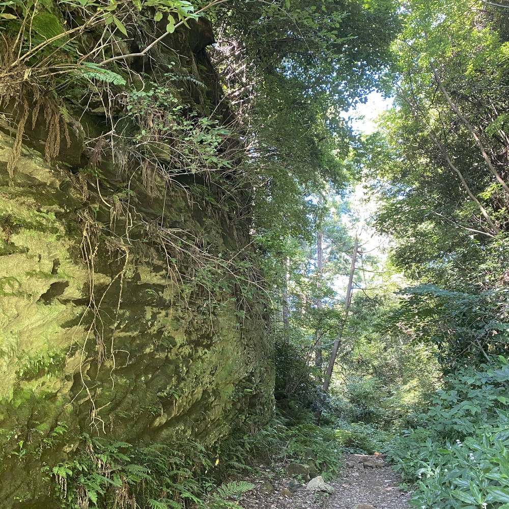 鎌倉七口（切通と坂）を巡る周回コースの写真4