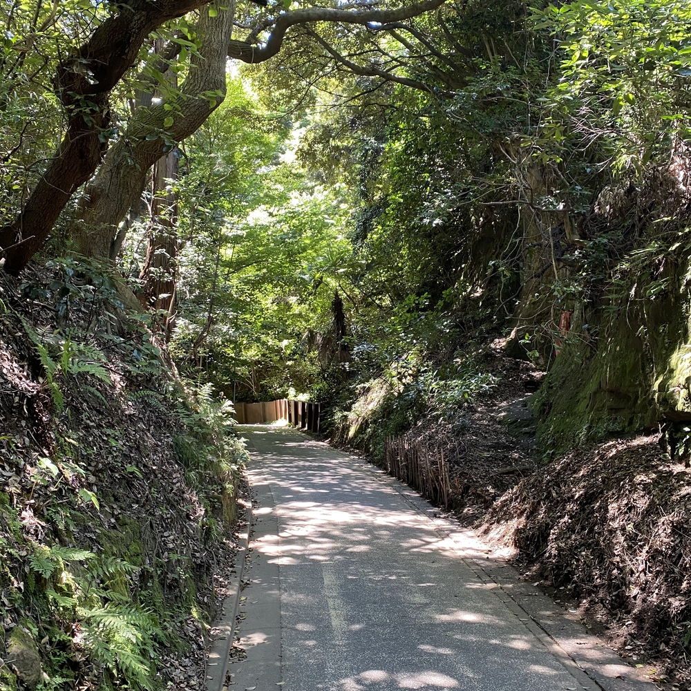 鎌倉七口（切通と坂）を巡る周回コースの写真6