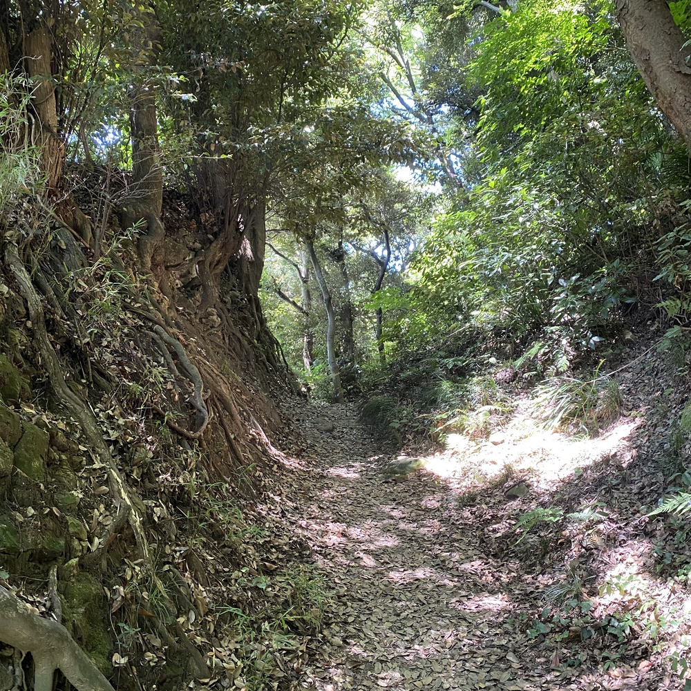 鎌倉七口（切通と坂）を巡る周回コースの写真9