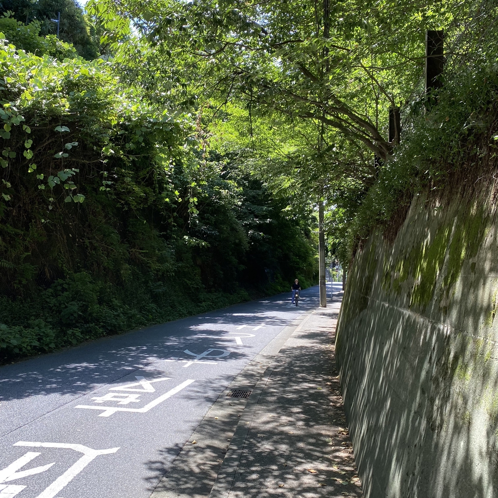 鎌倉七口（切通と坂）を巡る周回コースの写真10