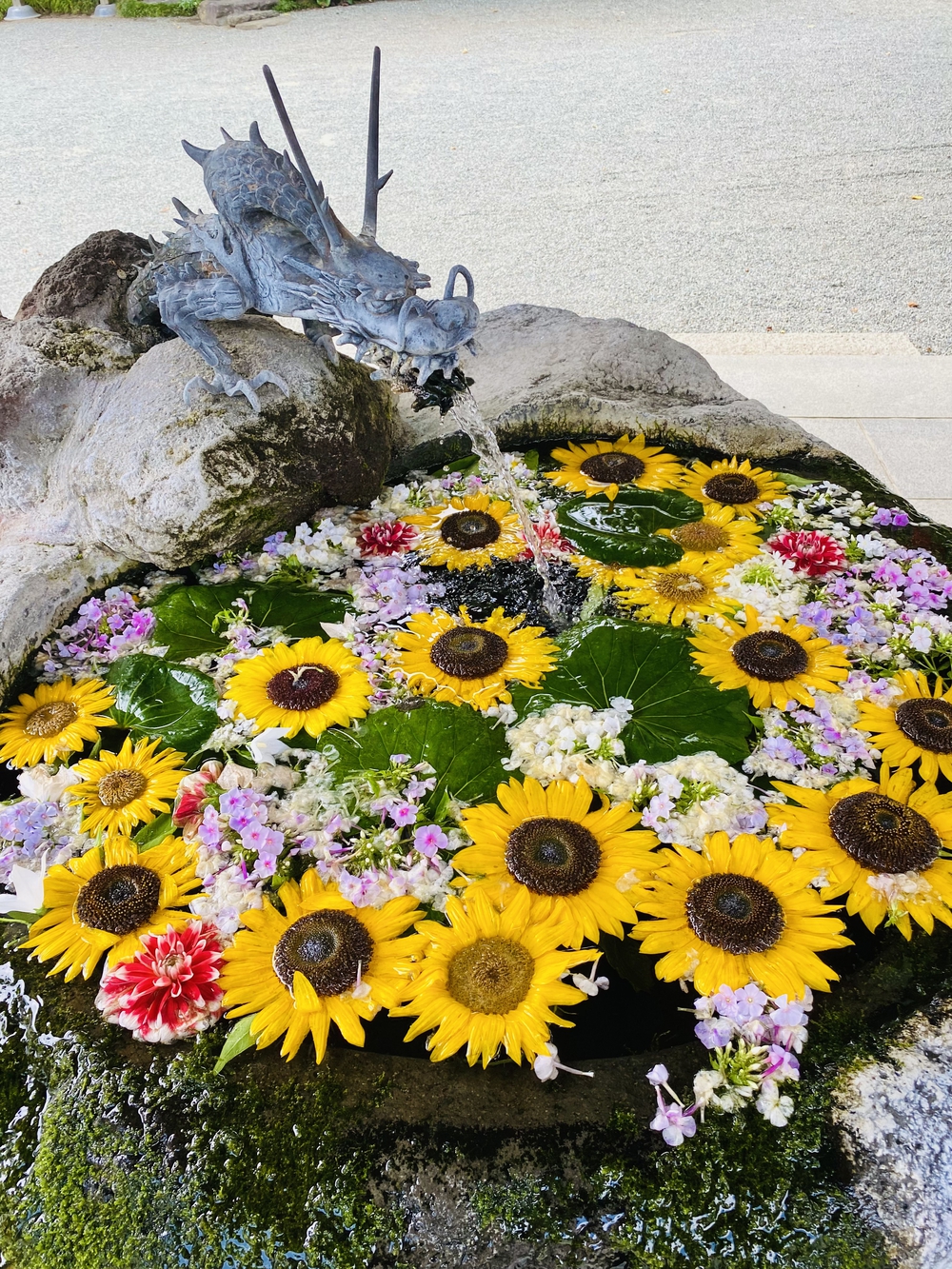 美しい自然を楽しむ秦野駅周辺の神社&七福神巡り〜出雲大社相模分祠、白笹稲荷神社、今泉神社、上宿観音、曾屋神社〜の写真4
