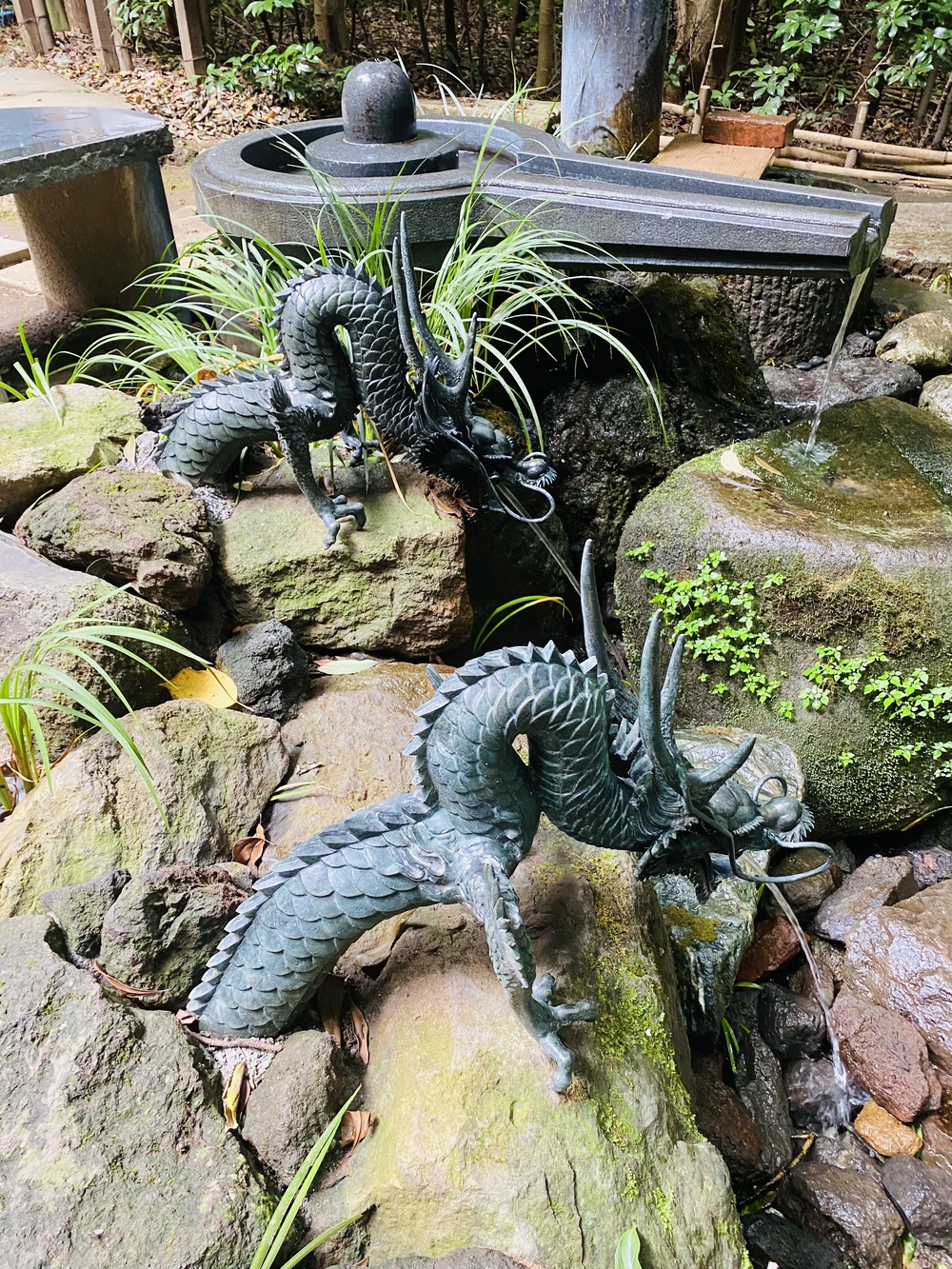 美しい自然を楽しむ秦野駅周辺の神社&七福神巡り〜出雲大社相模分祠、白笹稲荷神社、今泉神社、上宿観音、曾屋神社〜の写真5