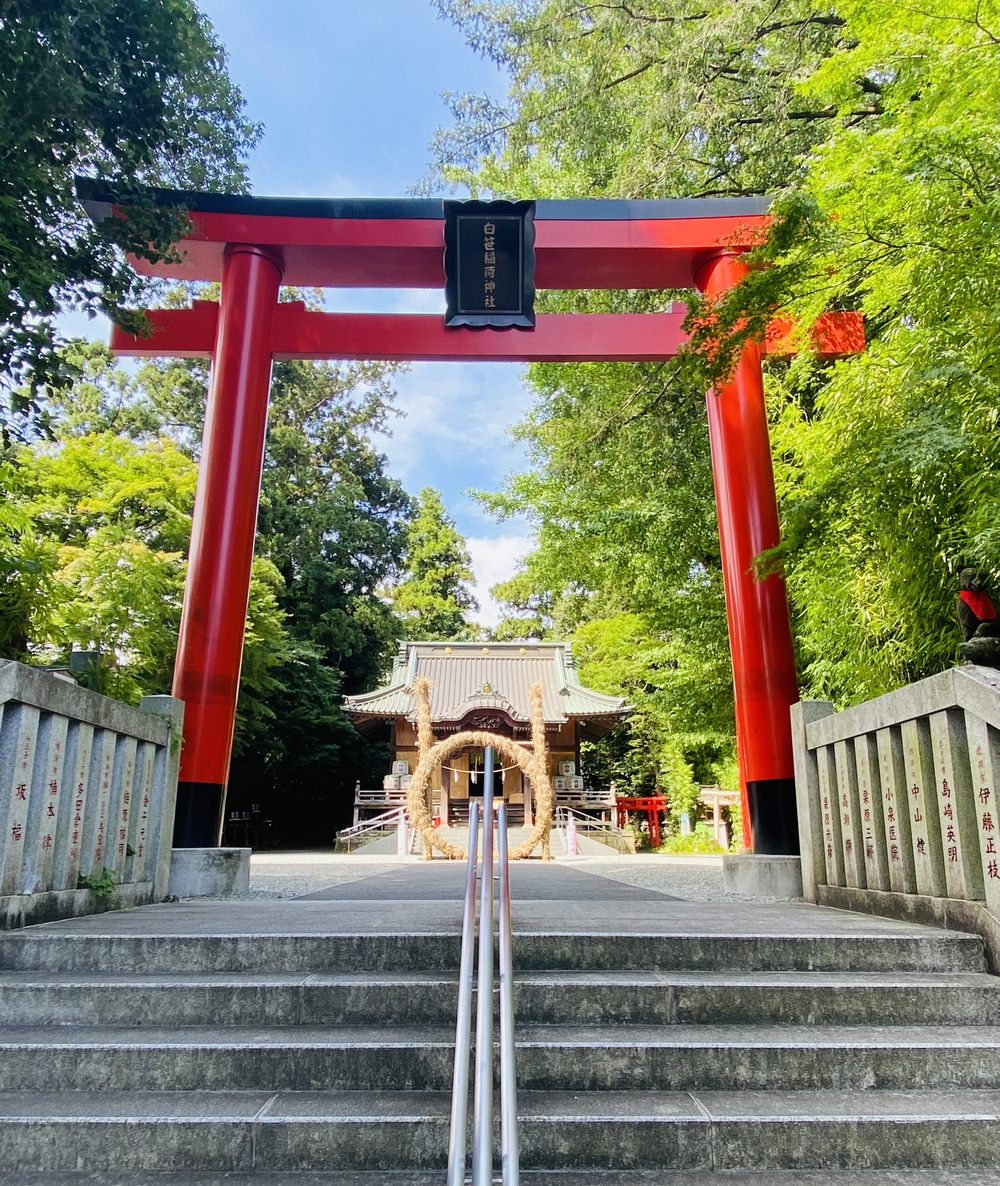 美しい自然を楽しむ秦野駅周辺の神社&七福神巡り〜出雲大社相模分祠、白笹稲荷神社、今泉神社、上宿観音、曾屋神社〜の写真7