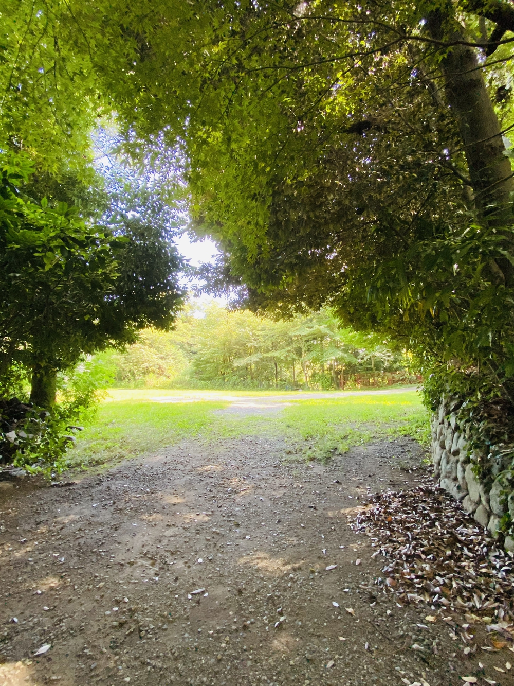 美しい自然を楽しむ秦野駅周辺の神社&七福神巡り〜出雲大社相模分祠、白笹稲荷神社、今泉神社、上宿観音、曾屋神社〜の写真12
