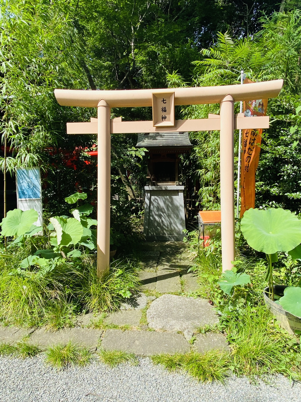 美しい自然を楽しむ秦野駅周辺の神社&七福神巡り〜出雲大社相模分祠、白笹稲荷神社、今泉神社、上宿観音、曾屋神社〜の写真14