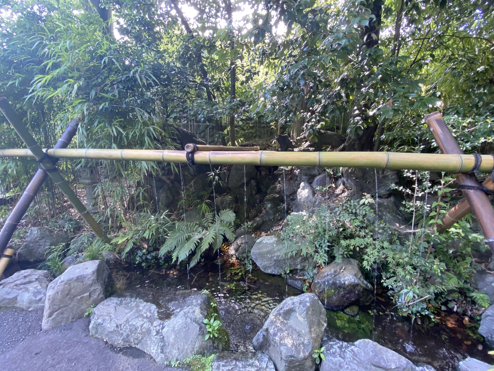 美しい自然を楽しむ秦野駅周辺の神社&七福神巡り〜出雲大社相模分祠、白笹稲荷神社、今泉神社、上宿観音、曾屋神社〜の写真15