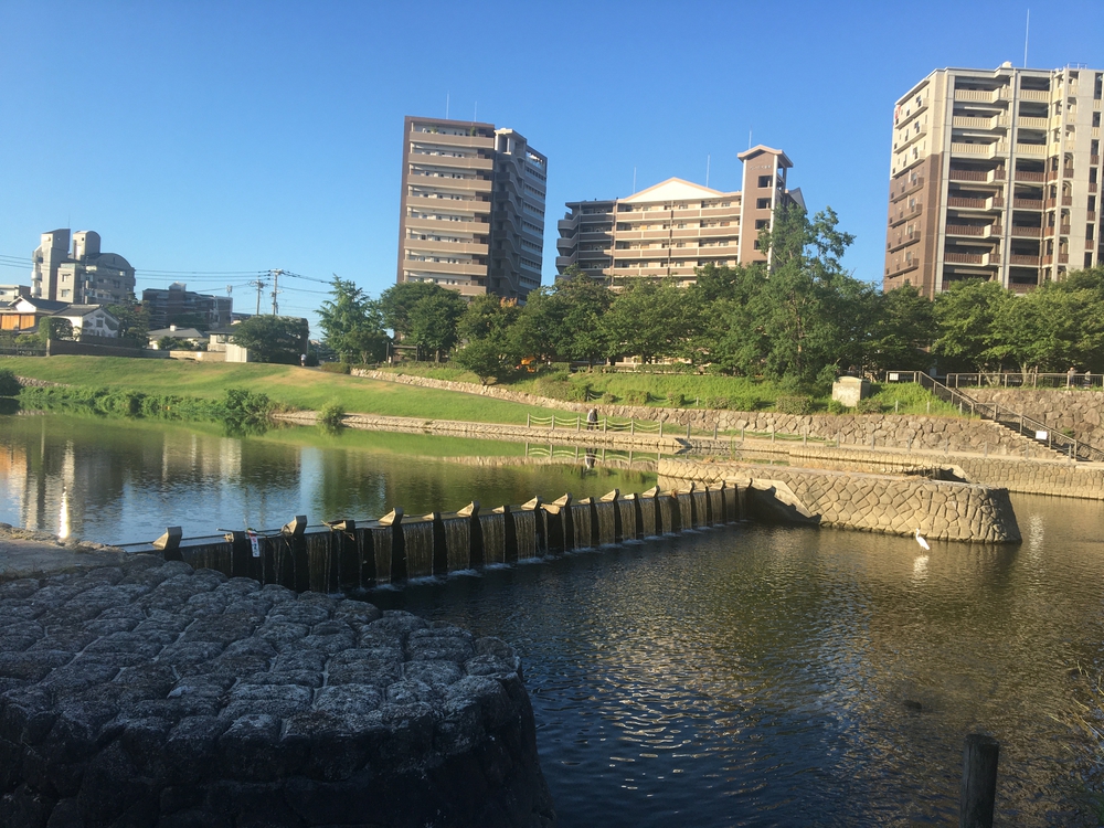 博多泊。那珂川沿いを走るゾぃの写真3