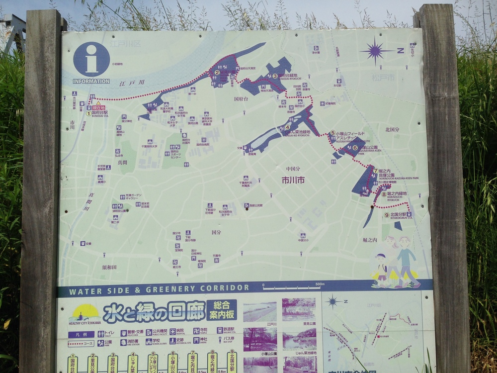 柴又10k〜水と緑と下町風情を楽しむの写真3