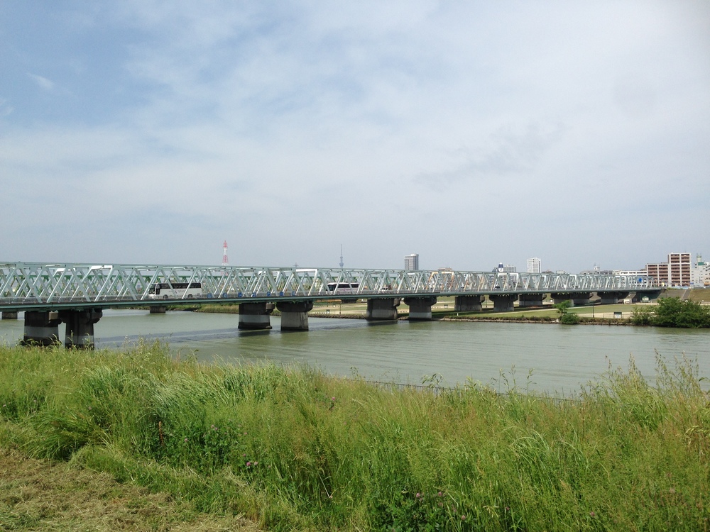 柴又10k〜水と緑と下町風情を楽しむの写真5