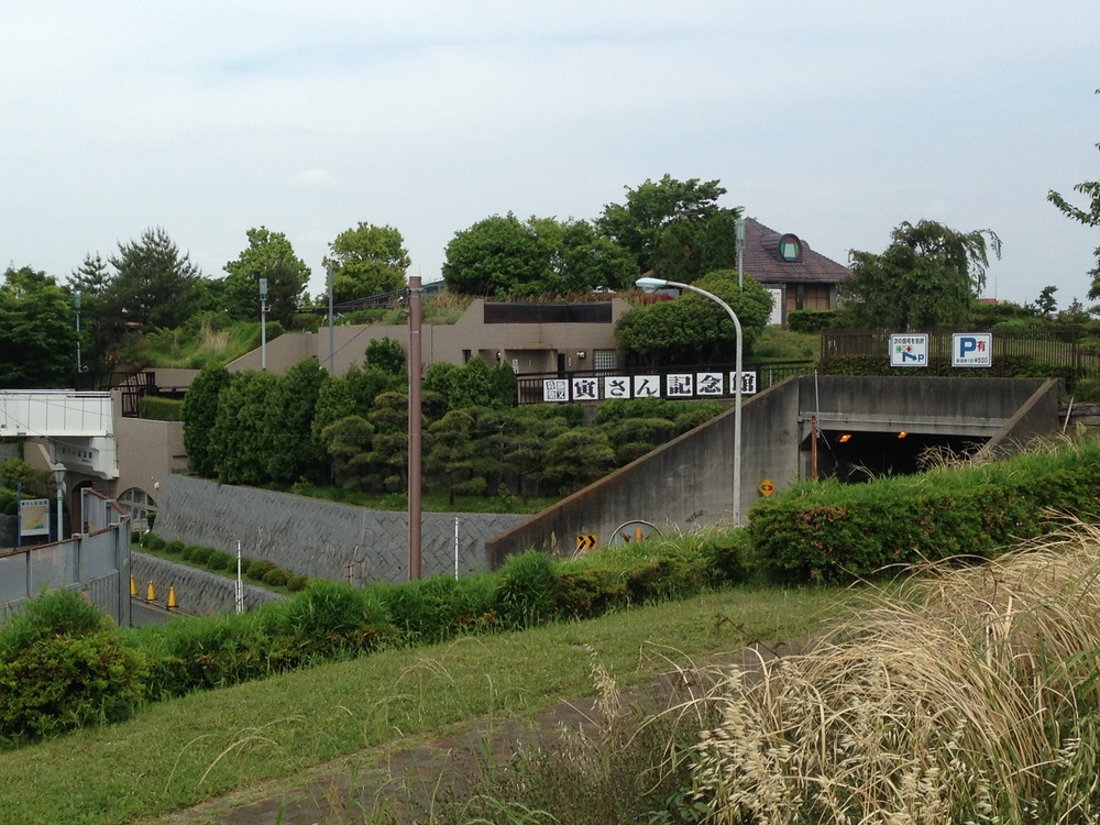柴又10k〜水と緑と下町風情を楽しむの写真7