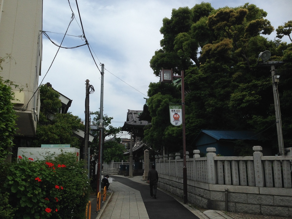 柴又10k〜水と緑と下町風情を楽しむの写真8