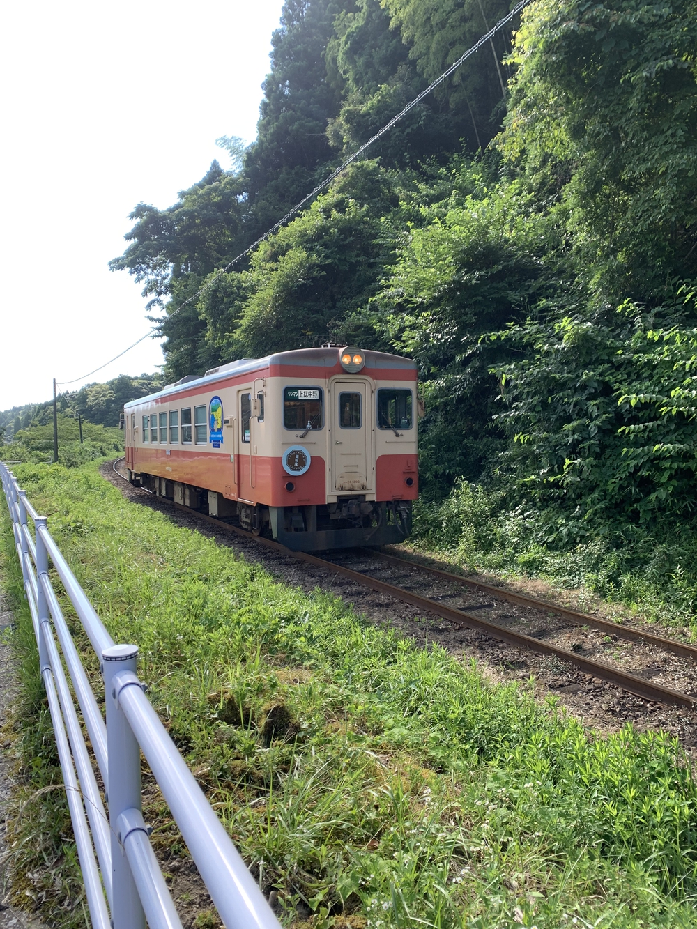 いすみ鉄道沿いを10km、ゴールは海の写真5